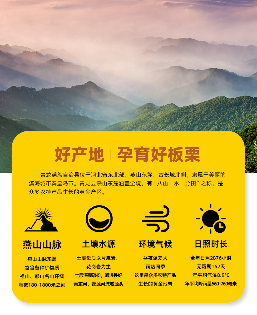 板栗詳情頁1080_07.jpg