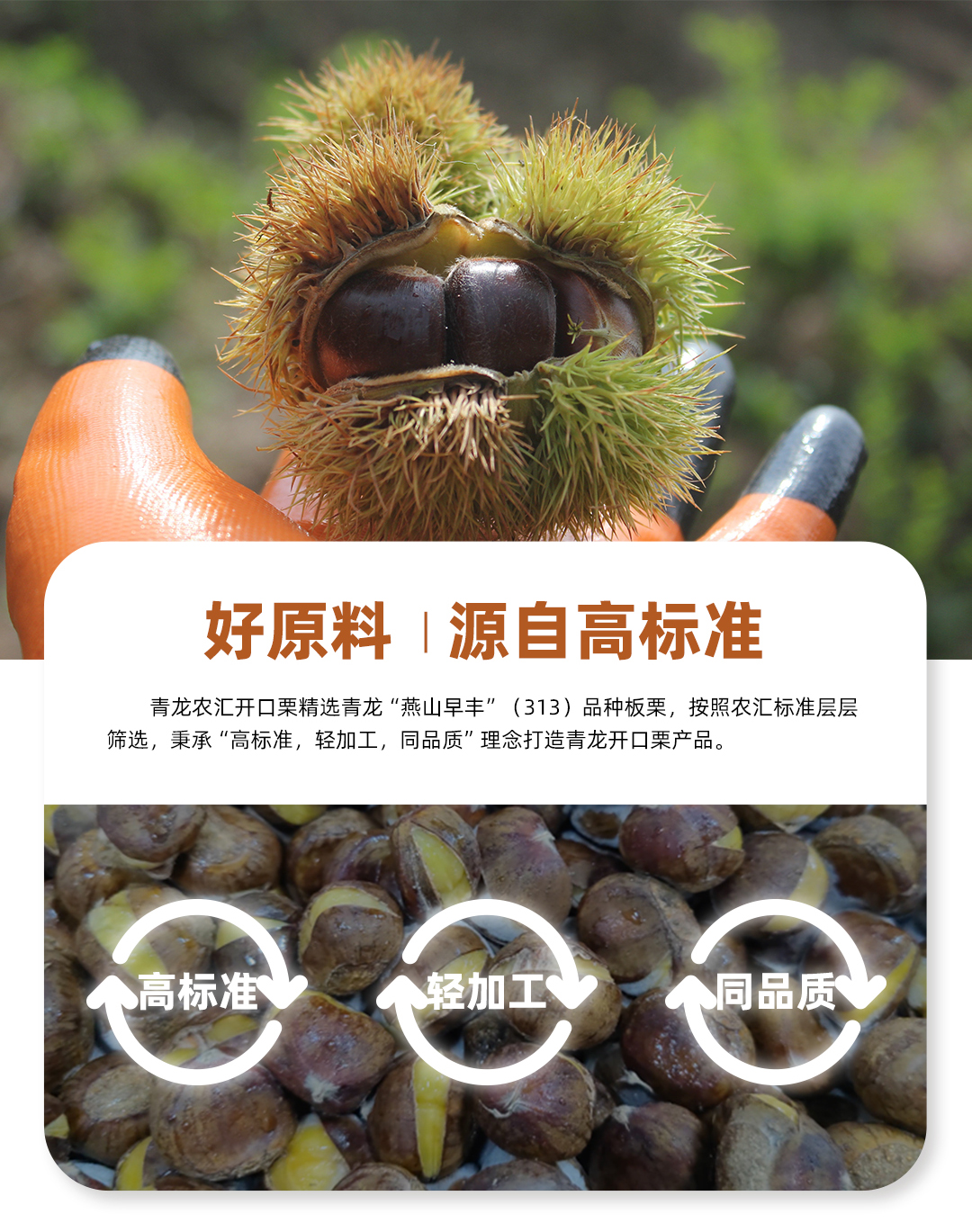 板栗詳情頁1080_09.jpg