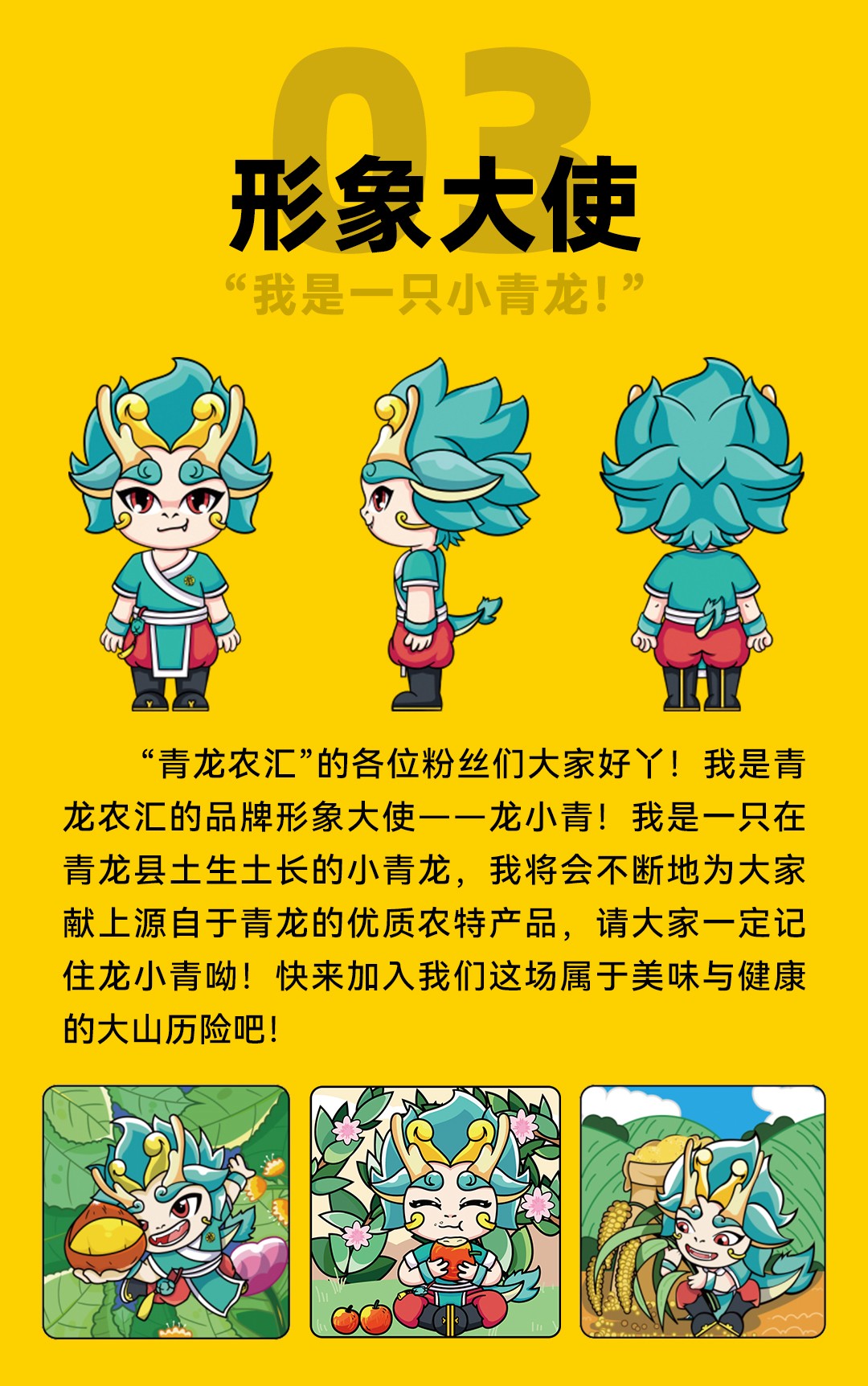 板栗詳情頁1080_17.jpg